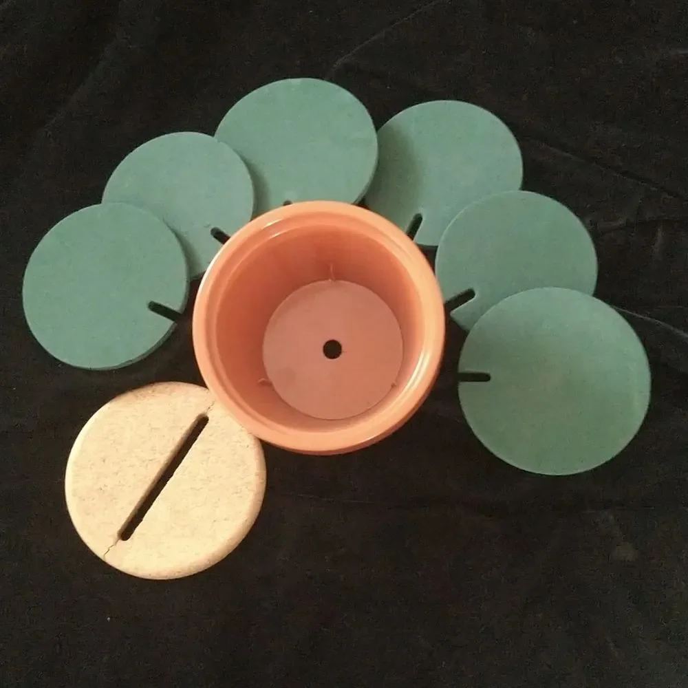 Cactus 🌵 Coaster Set